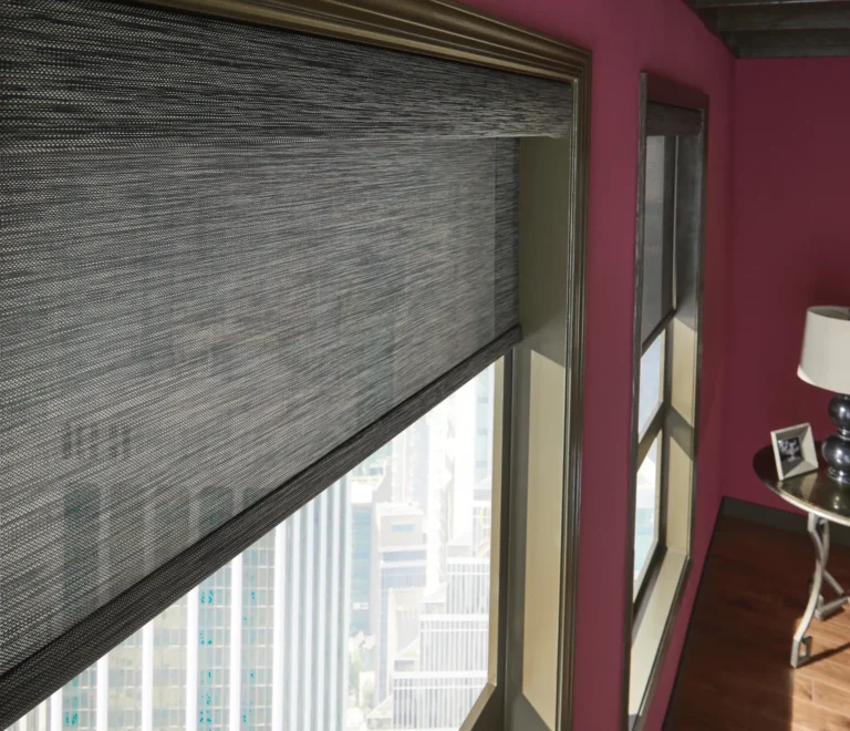 Solar-Screen-Shades (4)