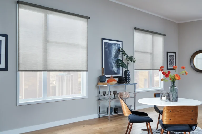 solar-screen-shades (1)