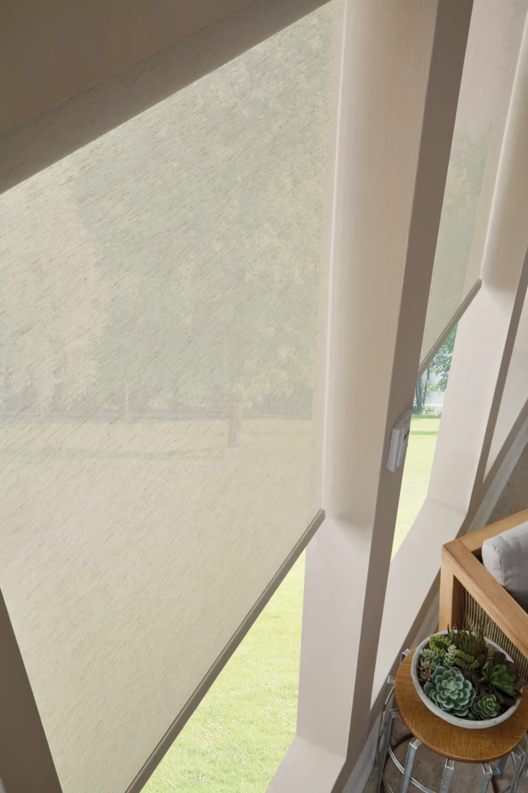 solar-screen-shades (26)